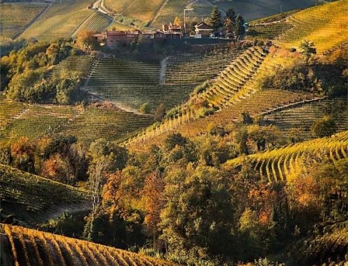 Winnita Casino: Come Accedere, Giocare e Prelevare in Italia